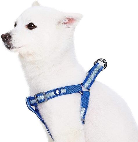 Blueberry Pet Essentials Step-in Reflective Back to Basics Dog Harness, Sky Blue, Chest Girth 20" - 26", Medium, Adjustable Harnesses for Dogs in Saudi Arabia