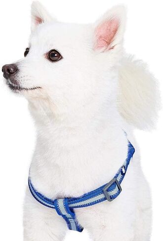 Blueberry Pet Essentials Step-in Reflective Back to Basics Dog Harness, Sky Blue, Chest Girth 20" - 26", Medium, Adjustable Harnesses for Dogs in Saudi Arabia