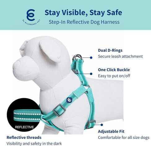 حزام للكلاب من Blueberry Pet Essentials عاكس للضوء للعودة إلى الأساسيات، أخضر نعناعي، محيط الصدر 16.5 بوصة - 21.5 بوصة، أحزمة صغيرة قابلة للتعديل للكلاب in Kuwait