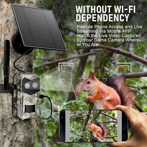 كاميرا Trail Solar 4G LTE مع بطاقة ESIM ، كاميرا لعبة العدسات المزدوجة مع رؤية Night Light Coll Color Comple in Kuwait