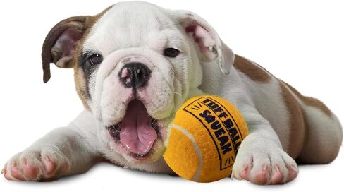 PetSport Mega Tuff Dog Toy Ball, Yellow, 6" in Kuwait