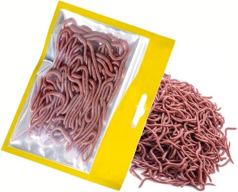 1pc 3.2in الصيد ناعم إغراء تراوت دودة الأرض الطعم Lifelelik in Saudi Arabia