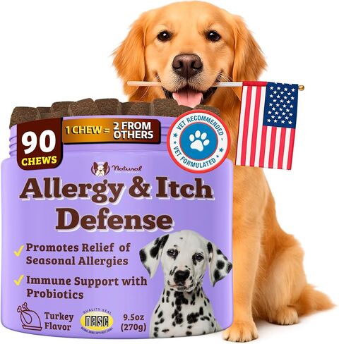 Natural Dog Company Probiotic Chews (90 Bites), Chicken Flavor, Helps with Digestion, Supports Immune System, Probiotics Supplement for Dogs of All Ages, Sizes & Breeds. in Kuwait