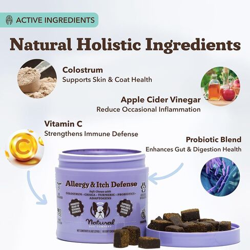 Natural Dog Company Probiotic Chews (90 Bites), Chicken Flavor, Helps with Digestion, Supports Immune System, Probiotics Supplement for Dogs of All Ages, Sizes & Breeds. in Kuwait