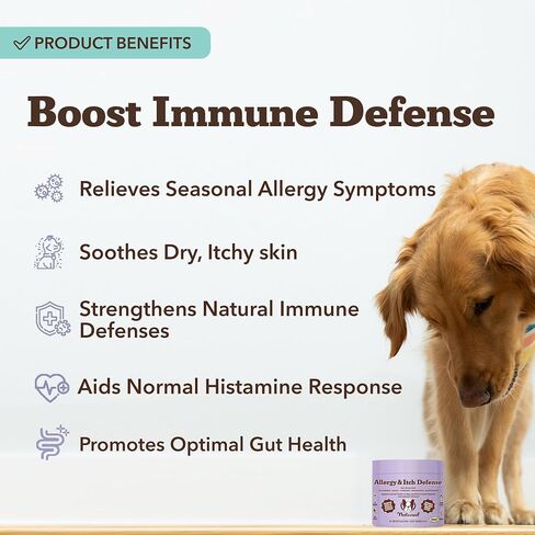 Natural Dog Company Probiotic Chews (90 Bites), Chicken Flavor, Helps with Digestion, Supports Immune System, Probiotics Supplement for Dogs of All Ages, Sizes & Breeds. in Kuwait