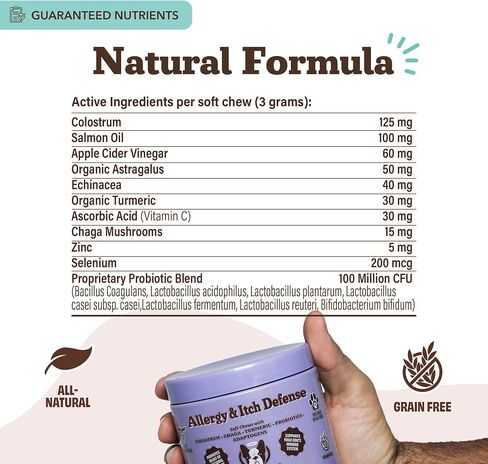 Natural Dog Company Probiotic Chews (90 Bites), Chicken Flavor, Helps with Digestion, Supports Immune System, Probiotics Supplement for Dogs of All Ages, Sizes & Breeds. in Kuwait