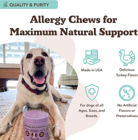 Natural Dog Company Probiotic Chews (90 Bites), Chicken Flavor, Helps with Digestion, Supports Immune System, Probiotics Supplement for Dogs of All Ages, Sizes & Breeds. in Kuwait
