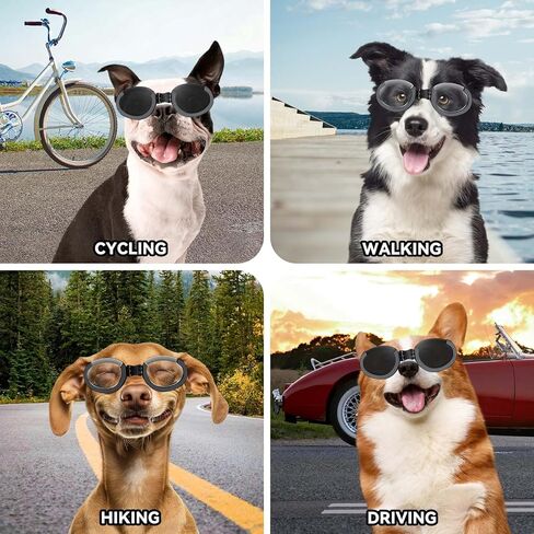 Petleso Dog Goggles Medium Breed, Dog Sunglasses for Medium Dogs Eye Protection Windproof, Black in Kuwait