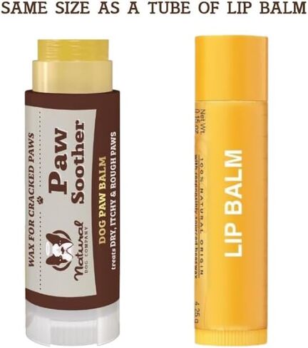 مجموعة PAWDICURE من شركة Natural Dog Company، ملطف مخالب + بلسم مخالب للكلاب، حماية وشفاء من وسادات مخالب الكلاب الجافة والمتشققة، عضوية، جميع المكونات الطبيعية، أعواد بحجم 2 أونصة in Kuwait