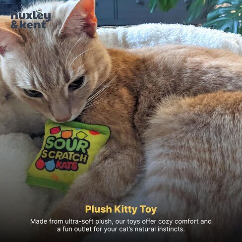 Huxley & Kent H&K Cat Toy | Pizza | Plush Cat Toy with Catnip Inside | Funny Realistic Cat Gift | Fun, Durable, and Safe Cat Toys in Kuwait