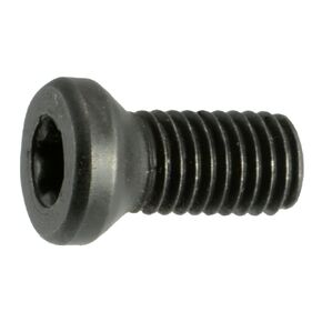 Black Oxide Star Drive Weaver Oval Head Gun Screws - 10 pcs. (8-40 x 1/4" T-15 Torx)