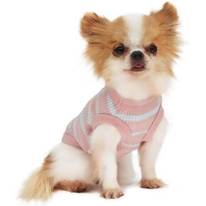 LOPHIPETS 100% Cotton Rib Dog Shirt Vest for Small Dogs Teacup Chihuahua Yorkie Puppy Clothes Tank Tee-Blue/XXS in Saudi Arabia