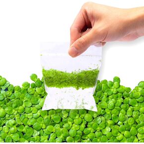 SubstrateSource Red Root Floater Phyllanthus Fluitans - نباتات عائمة حية لأحواض السمك وخزانات الأسماك والديكورات المائية الطبيعية والغطاء (3-4 نباتات) in Kuwait