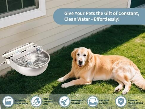 Achicklead Stainless Steel Livestock Water Bowl with Float Valve Tank,Automatic Farm Water Bowl for Horse, Cow, Goat, Sheep, Dog Drinking Waterer in Saudi Arabia