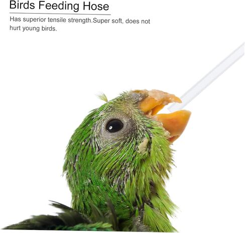 3pcs Hose Feeder Pet Feeding Tube Birds Feeding Hose Device Birds Feeding Hose Accessory Bird Feeding Feeding Tubes Food Baby Plastic Breastfeeding Device Child Earth Tones in Kuwait