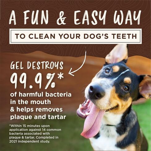 TropiClean Enticers Kong Dental Ball Kit for Large Dogs | Teeth Cleaning Gel | Smoked Beef Brisket Flavor | 1 oz. in Kuwait