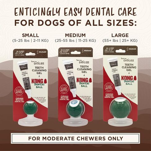 TropiClean Enticers Kong Dental Ball Kit for Large Dogs | Teeth Cleaning Gel | Smoked Beef Brisket Flavor | 1 oz. in Kuwait