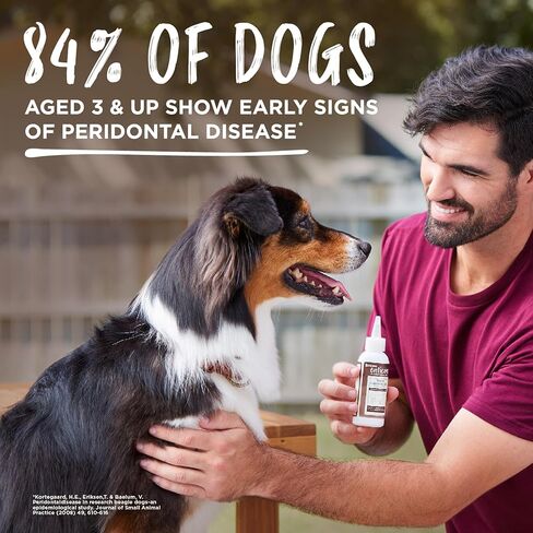 TropiClean Enticers Kong Dental Ball Kit for Large Dogs | Teeth Cleaning Gel | Smoked Beef Brisket Flavor | 1 oz. in Kuwait