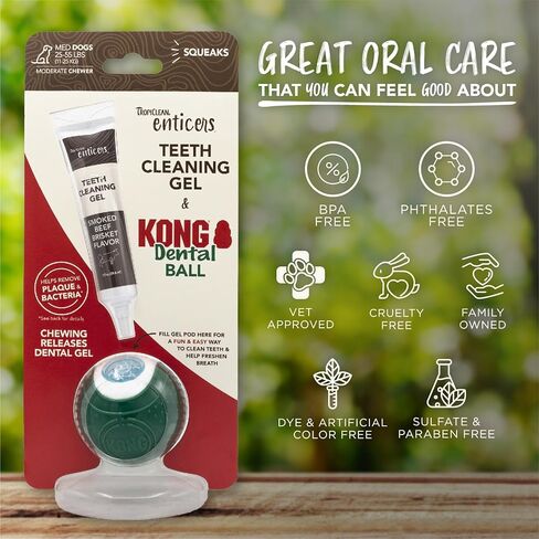 TropiClean Enticers Kong Dental Ball Kit for Large Dogs | Teeth Cleaning Gel | Smoked Beef Brisket Flavor | 1 oz. in Kuwait