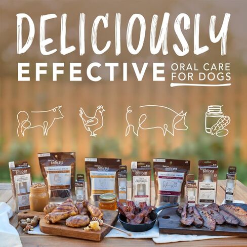 TropiClean Enticers Kong Dental Ball Kit for Large Dogs | Teeth Cleaning Gel | Smoked Beef Brisket Flavor | 1 oz. in Kuwait