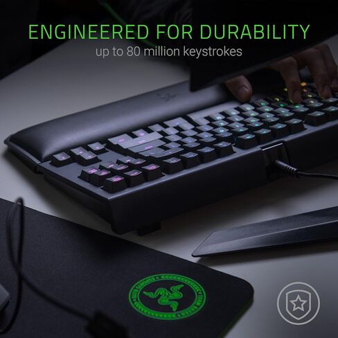 Razer Blackwidow Tournament Edition Chroma V2: Esports Gaming Keyboard - REST ERGONIMIC REST - Tenkeyless Design - Razer Green Mechanical Switches (tassile and clicky) (متجدد) in Kuwait