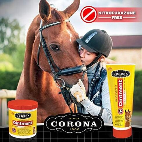 Manna Pro Corona Ointment for Horses | Lanolin-Based Formula Helps Sooth Irritation | 14 Ounces in Saudi Arabia