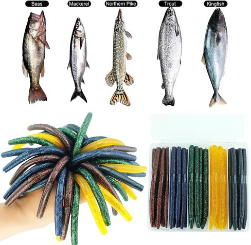 طقم سحر الجهير Wacky Worm: 40pcs 5 "Senko ديدان مع صندوق تخزين | طعوم صيد بطيئة للمياه المالحة في المياه العذبة in Kuwait