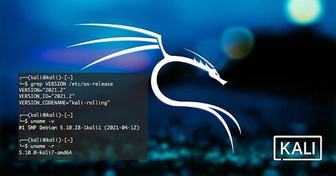 Cyberezq USB لـ Kali Linux 2022.4 REPAR Recovery Recover in Saudi Arabia