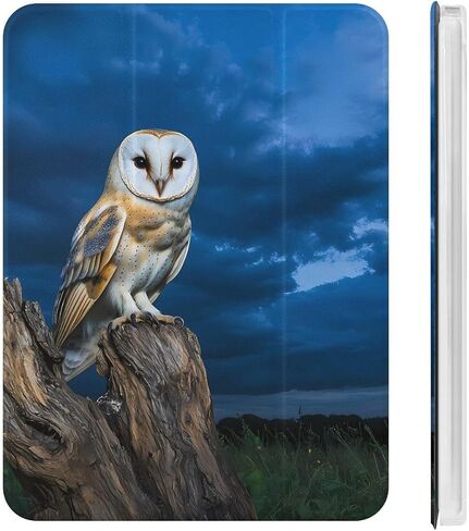 البومة في حالة الليل مع حامل القلم رفيع الوزن ثلاثي الأوزان متوافق مع iPad mini 4/5/6 mini4/5 （7.9in） in Saudi Arabia