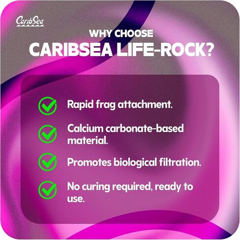 CaribSea Caribsea Life Rock Frag Zone 2.25lb in Saudi Arabia