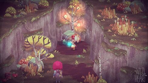 The Wild at Heart - Nintendo Switch in Kuwait