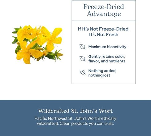 ECLECTIC INSTITUTE Raw Fresh Freeze-Dried Non-GMO St. John's Wort | 120 CT (300 mg) in Kuwait