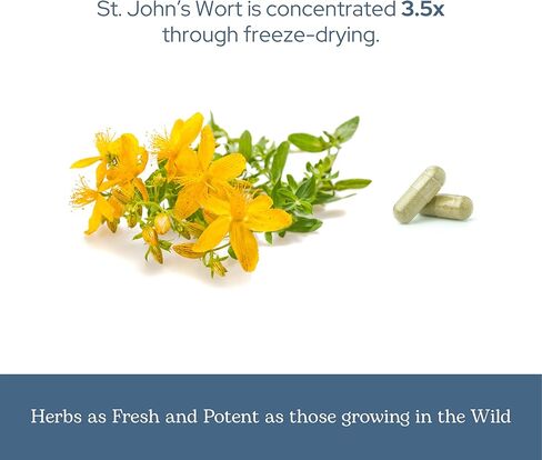 ECLECTIC INSTITUTE Raw Fresh Freeze-Dried Non-GMO St. John's Wort | 120 CT (300 mg) in Kuwait