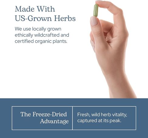 ECLECTIC INSTITUTE Raw Fresh Freeze-Dried Non-GMO St. John's Wort | 120 CT (300 mg) in Kuwait