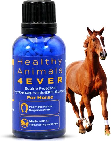 HealthyAnimals4Ever Horse All-Natural Equine Protozoal Myeloencephalitis (EPM) Support - Reduces Weakness, Ataxia & Loss of Coordination - Supplements for Horses - Highly Effective - 300 Tablets in Saudi Arabia