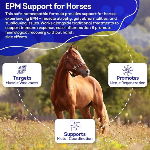 HealthyAnimals4Ever Horse All-Natural Equine Protozoal Myeloencephalitis (EPM) Support - Reduces Weakness, Ataxia & Loss of Coordination - Supplements for Horses - Highly Effective - 300 Tablets in Saudi Arabia