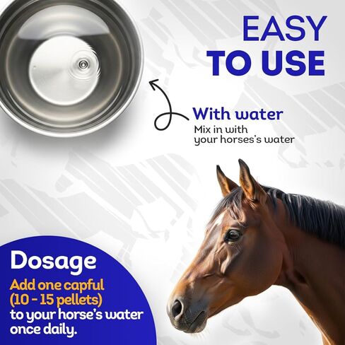 HealthyAnimals4Ever Horse All-Natural Equine Protozoal Myeloencephalitis (EPM) Support - Reduces Weakness, Ataxia & Loss of Coordination - Supplements for Horses - Highly Effective - 300 Tablets in Saudi Arabia