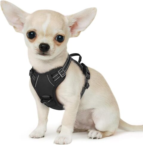 Eagloo Dog Harness for Large Dogs, No Pull Pet Vest with 2 Leash Clips in Kuwait