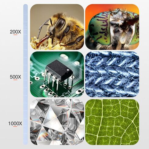 المجهر الرقمي الصناعي ، المجهر الإلكتروني الرقمي 4.3in 1000x 2MP شاشة واضحة مع الضوء والوقوف USB ، USB in Kuwait