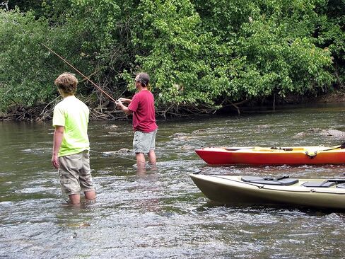 صنع في الولايات المتحدة الأمريكية مقود مجداف كاياك/مقود تروس مع إيقاف الحبل (OD أخضر) in Kuwait