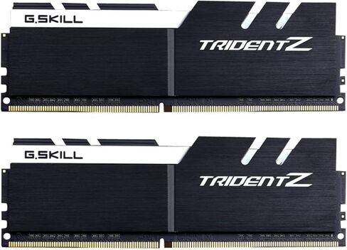 G. Skill 16GB DDR4 RAM F4-3200 ° C15D-16GTZKW in Saudi Arabia