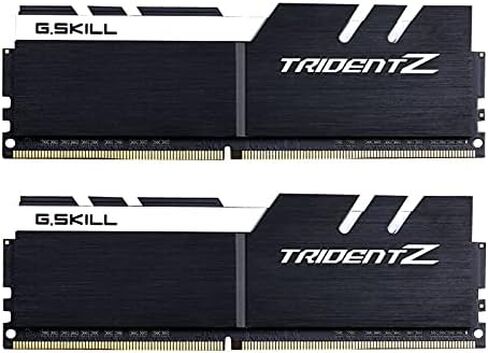 G. Skill 16GB DDR4 RAM F4-3200 ° C15D-16GTZKW in Saudi Arabia