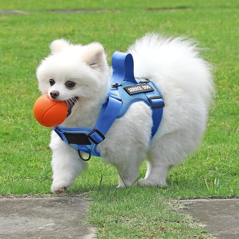 Demigreat Service Dog Harness، عاكس سترة الكلب مع 5 قطع من الرقع، حزام أكسفورد ناعم قابل للتعديل للحيوانات الأليفة، شبكة داخلية من الطبقة، سهل التحكم للكلاب in Kuwait