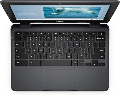 Dell Chromebook 11 3100 LAPTOP (2019) | 11.6 "HD | Core Celeron - 32GB SSD - 4GB RAM | 2 CORES (متجدد) in Saudi Arabia