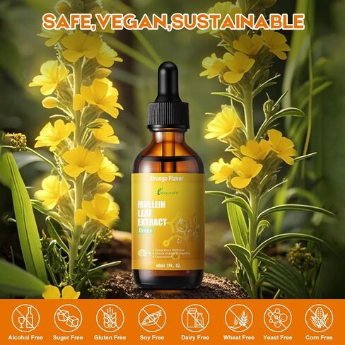 قطرات Mullein لسائل الرئتين - دعم ملحق الأعشاب الجهاز التنفسي ، مستخلص أوراق Mullein لتنظيف الرئتين مع Cordyceps ، جذر الجذر والعرق الخقيل 4 Fl Oz 2 Pack in Saudi Arabia