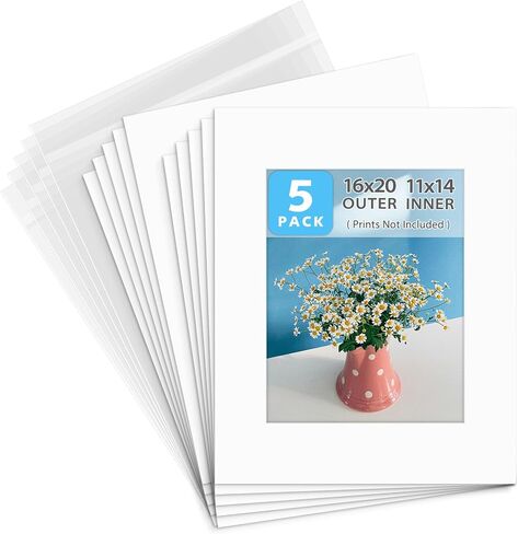 Golden State Art, 10 Pack 16x20 Mat for 11x14 Pictures with Backing & Bags in Kuwait