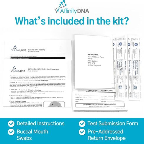 AffinityDNA اختبار الحمض النووي للاعتلال النخاعي التنكسي للكلاب (DM) | مجموعة أدوات جمع العينات المنزلية لكلب واحد | اختبار الجرو DM | النتائج خلال 7 أيام عمل | مجموعة كاملة بدون أي رسوم إضافية in Kuwait