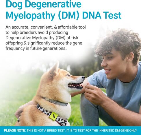 AffinityDNA اختبار الحمض النووي للاعتلال النخاعي التنكسي للكلاب (DM) | مجموعة أدوات جمع العينات المنزلية لكلب واحد | اختبار الجرو DM | النتائج خلال 7 أيام عمل | مجموعة كاملة بدون أي رسوم إضافية in Kuwait