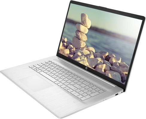 HP 17 LAPTOP ، 17.3 "شاشة FHD ، AMD Ryzen 5 5500U ، 16 جيجابايت SSD ، 512GB SSD ، كاميرا الويب ، HDMI ، قارئ بصمات الأصابع ، Wi-Fi ، Windows 11 Home ، Silver in Kuwait