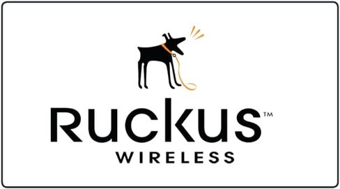 Ruckus E100G-QSFP-QSFP-P-0301 100Gbps QSFP28 to QSFP28 Passive Twinax DAC Cable 3m, Data Center & Switch Connectivity, TAA Compliant, Cloud Care Pre-Configured Bundle Eligible in Saudi Arabia